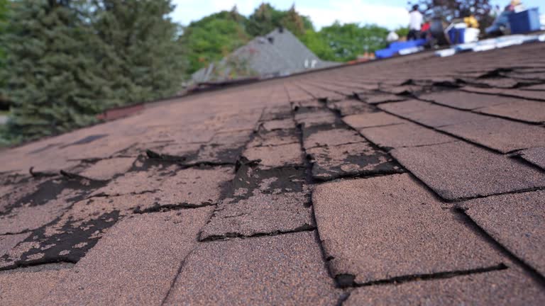 Best Green or Eco-Friendly Roofing Solutions  in Gervais, OR