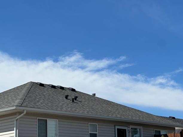 Best Asphalt Shingle Roofing  in Gervais, OR